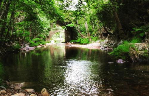 Akassa Alojamientos Bioclimaticos en las Hurdes - Foto 37