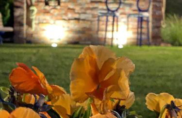 Domki Nad Rozlewiskiem Basen, Małpi Gaj w Świetlicy - Wszystko dla Dzieci - Foto 18