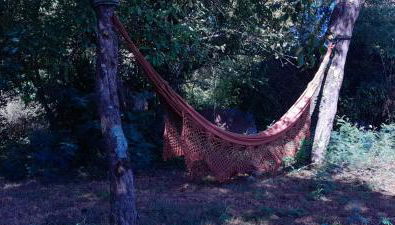 Gîte La Gravière - Foto 4, Garden