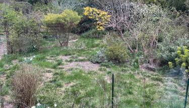 House and garden - Foto 2