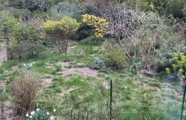 Maison et Jardin - Foto 16