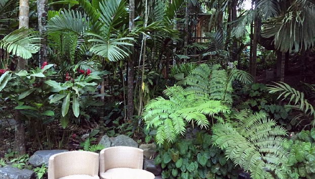 Découvrir la Vallée Cachée - Photo 5