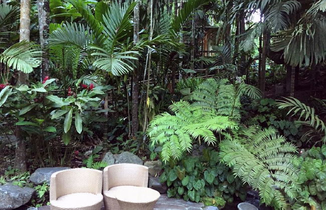 Découvrir la Vallée Cachée - Photo 5