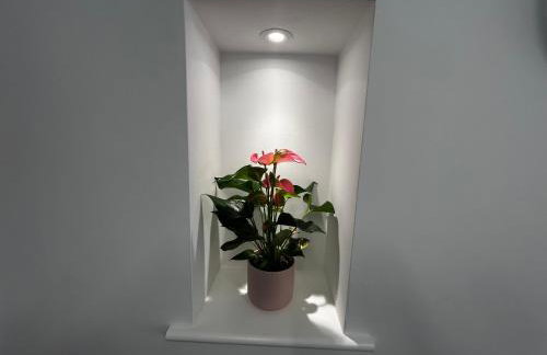 Sheffield Apartment - Photo 11