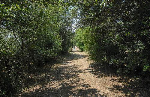 Masseria Berzario - Foto 37