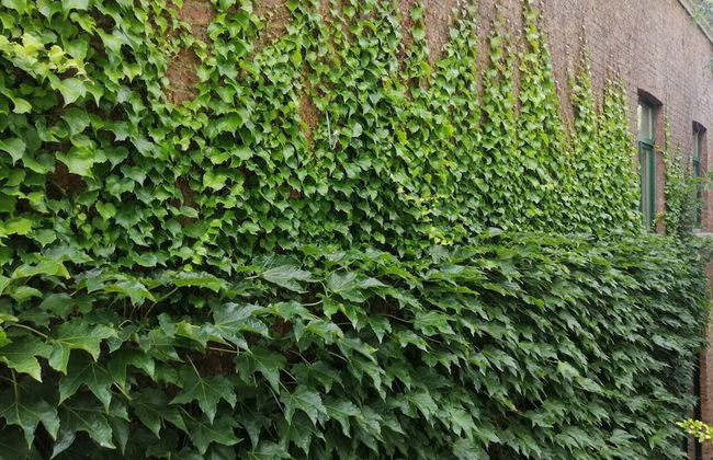 Amazing Loft in Namur - Foto 53