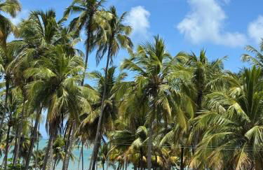 Villa Naluri C103 - Casa Auati - 2 quartos com Vista Mar em Japaratinga - Foto 26