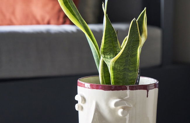 Stay Lab Residence - Foto 33