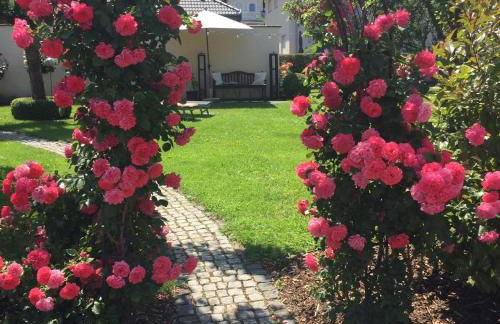 Wein- u. Gästehaus St. Maximin - Foto 16