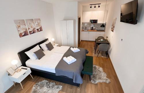 Apartments BINGO - Zagreb airport - Foto 21