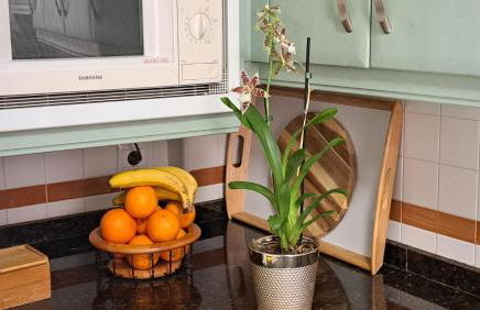 Apartamentos Maria Cristina con parking privado gratis - Foto 68