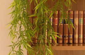 Sea & City View - Foto 24