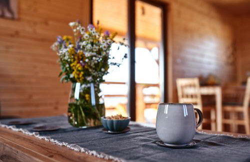 Domki całoroczne DŁUGOSZÓWKA pod Rzeszowem, Jacuzzi-Sauna-Basen-Alpaki - Foto 55