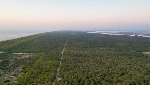 Apartamento acolherdor - Foto 1