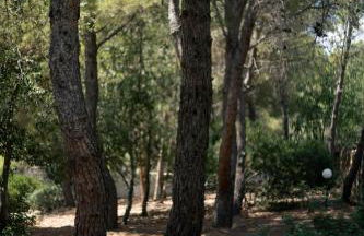 Gariga Holidays Apartments - Foto 21