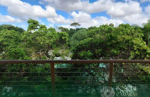 Bosque Aldeia dos Camarás - Foto 17