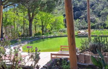 L'Etang Des Cigales - Foto 61