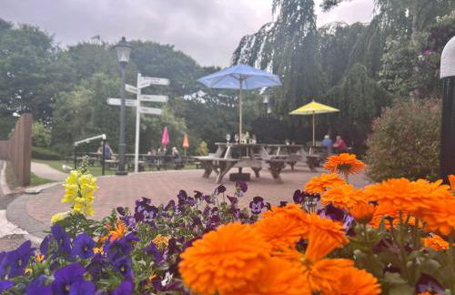 Trevithick 46 - Foto 25