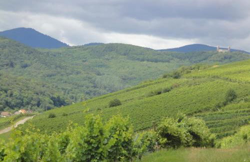 Le Bacchus - Photo 17