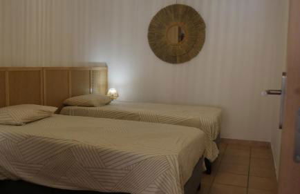 Luciole des Alpilles - Foto 7