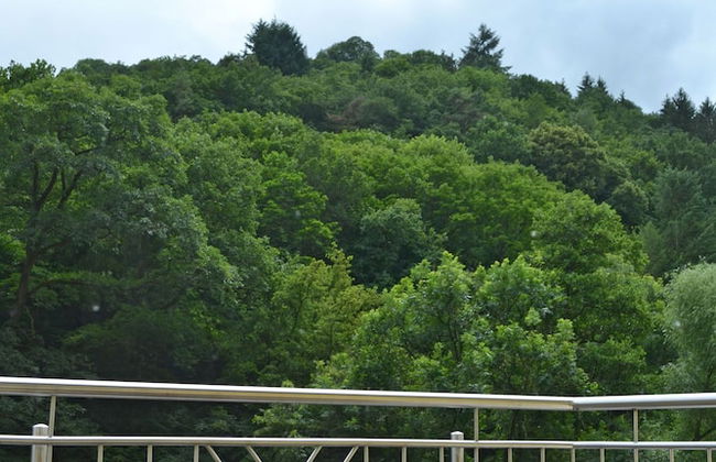 Ferienwohnung Panorama - Foto 16