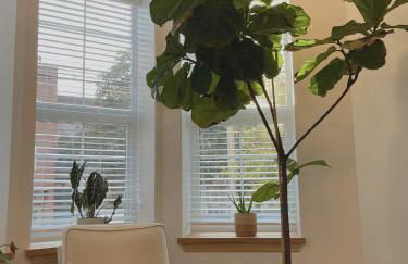 Beautiful Apartment shared with the Host in the Heart of Bushwick - Foto 2