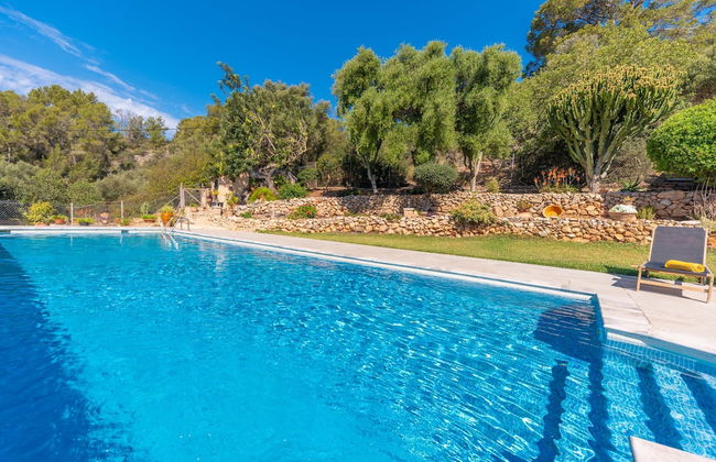 Son Orlandis in Andratx - Foto 35