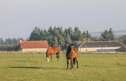 The Cottage - Foto 21