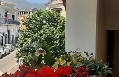 Holiday House NELLINA - Photo 13