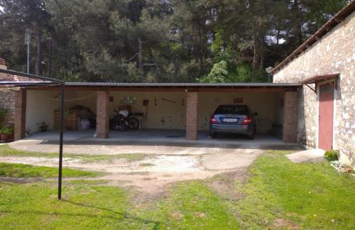 AMISIANA LITTLE BEAUTY NEXT TO NATURE - Foto 5