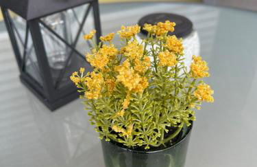 Ferienwohnung Traumwerk Titisee - Foto 14