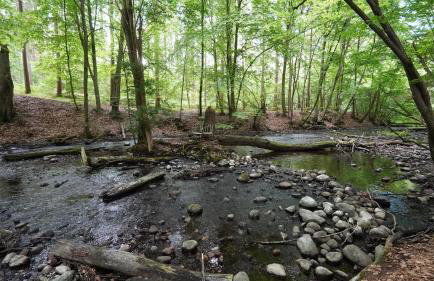 Ferienwohnungen am Krakower See - Foto 36