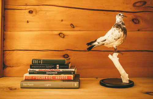 Private Adirondack Log Cabin, Hot Tub, Sauna & Swimming Hole, near Whiteface - Foto 29