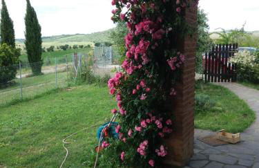 Maremma che vista! - Foto 36