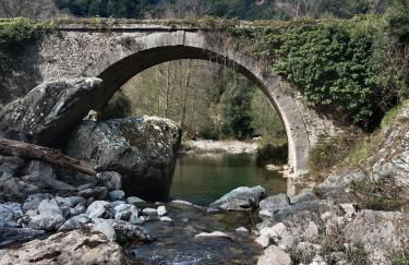 SANTA-LUCIA - Foto 13