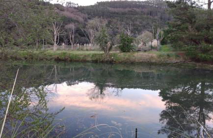 Hillside View - Foto 22