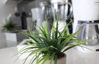 Apartment Queen - Foto 30