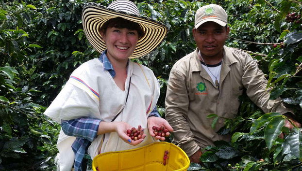Tour do café por Cali - Foto 4
