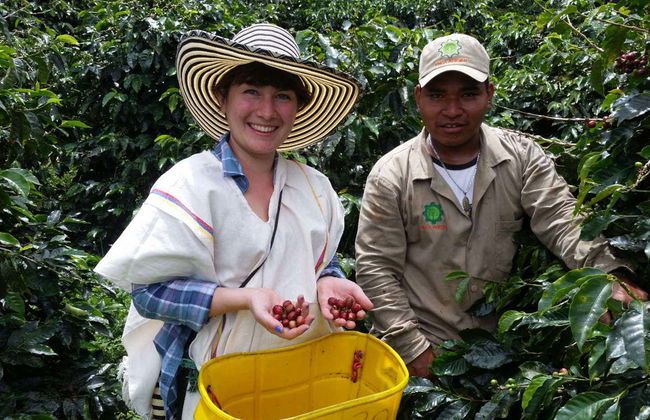 Visite autour du café de Cali - Photo 4
