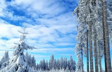 Bungalow Schwarzatalblick in Bad Blankenburg Ortsteil Böhlscheiben - Foto 17