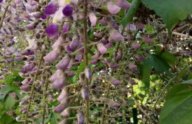 Casa Bartolacci Charme in Bivigliano (Near Mugello and Florence) - Foto 51