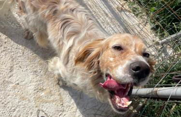 Rock house - Foto 21