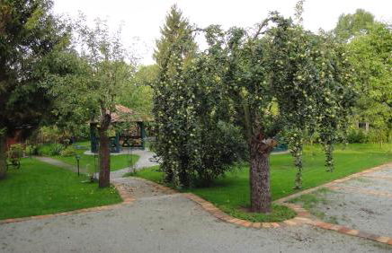 Suite im Limonadenhaus - adults only - Foto 23