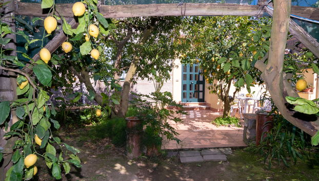 Apartment Il Montano by Interhome - Photo 2, House