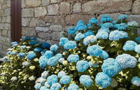 Casa das Castanhas - Cinfães, Viseu - Foto 38