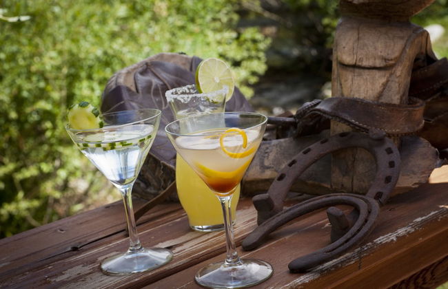 320 Guest Ranch - Photo 59