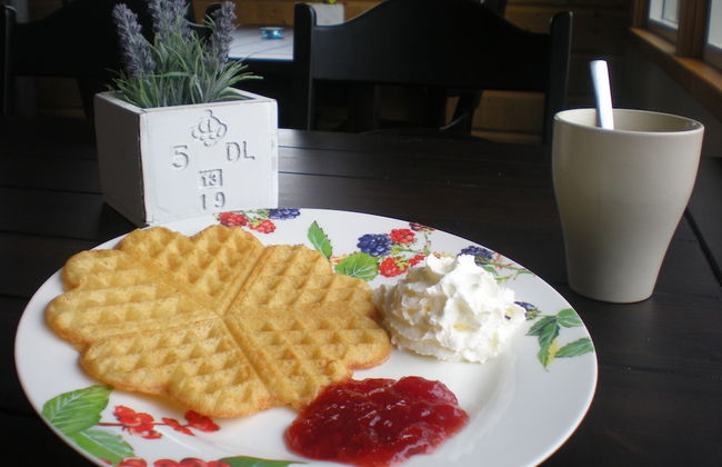 Ristafallets camping - Photo 16