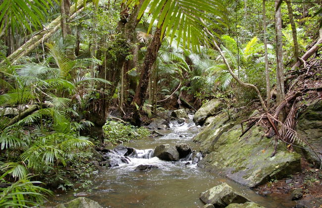 Bellthorpe Stays - Foto 70