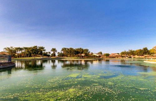 Palmen Maricopa - Photo 75