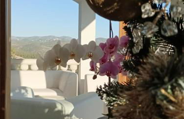 Villa Paradise , playa privada a 10 minutos de Sitges - Photo 15